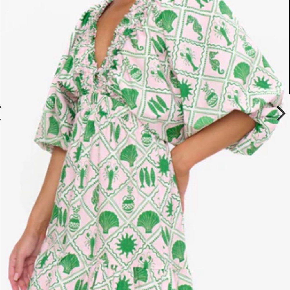 Show Me Your MuMu Hadley Pink Dress with Green Shell Print sz Small